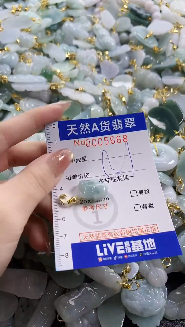 颈饰未镶嵌翡翠天然A货翡翠