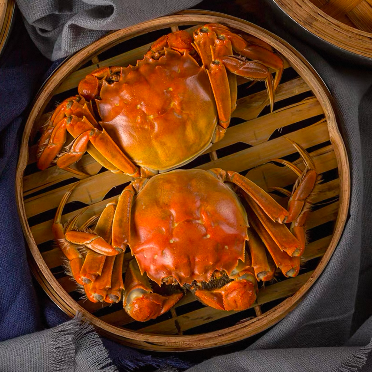 【活蟹-拍8送2】正宗太湖大闸蟹2.3-2.6两全母蟹10只顺丰冷链直发