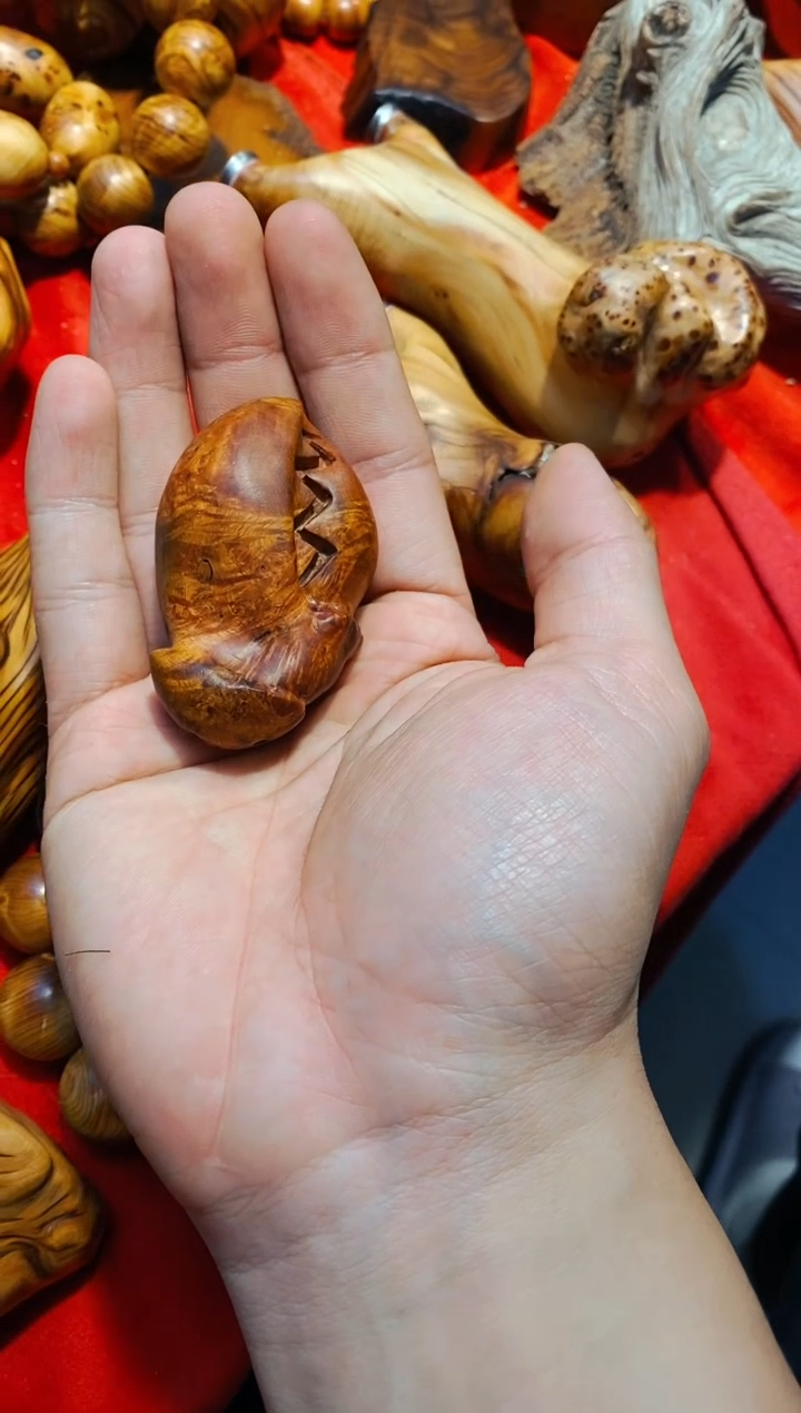 【闪购商品】柏木36崖柏崖柏崖柏崖柏