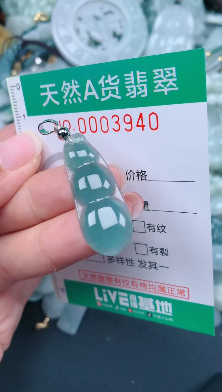 翡翠未镶嵌颈饰.0003940