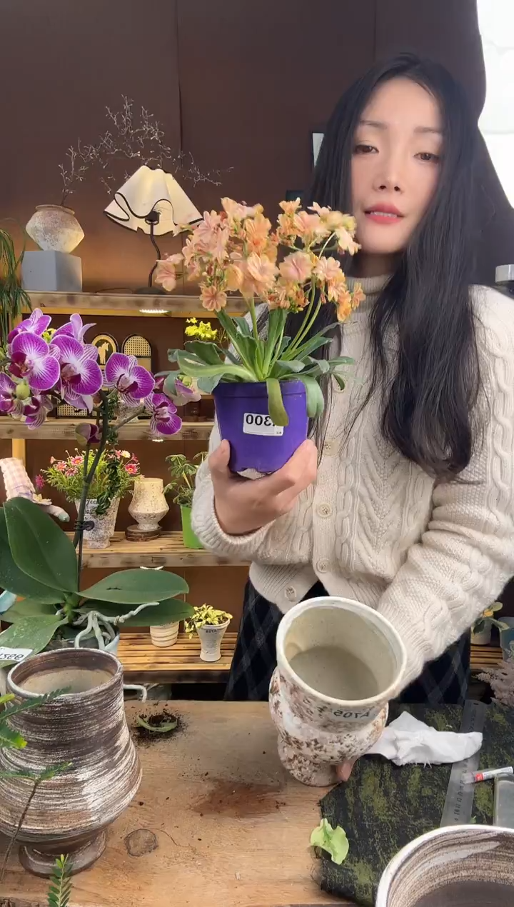 以实际为准露微育苗盆300