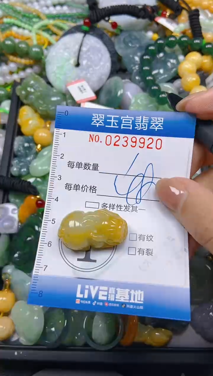 颈饰未镶嵌翡翠闪购C0239920