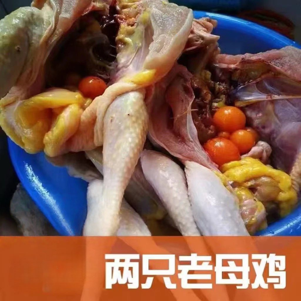 四川农家散养600天老母鸡 京东冷链 新鲜宰杀净堂老母鸡