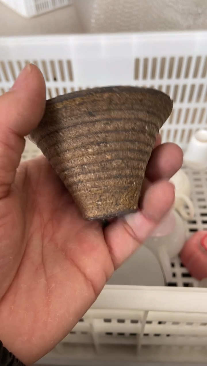 杯子瓷无运费险有瑕疵的摄影的产品有使用过的痕迹有点脏介意勿拍