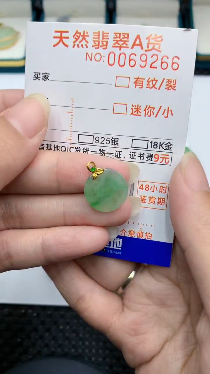 【闪购商品】翡翠颈饰18K金镶嵌            8