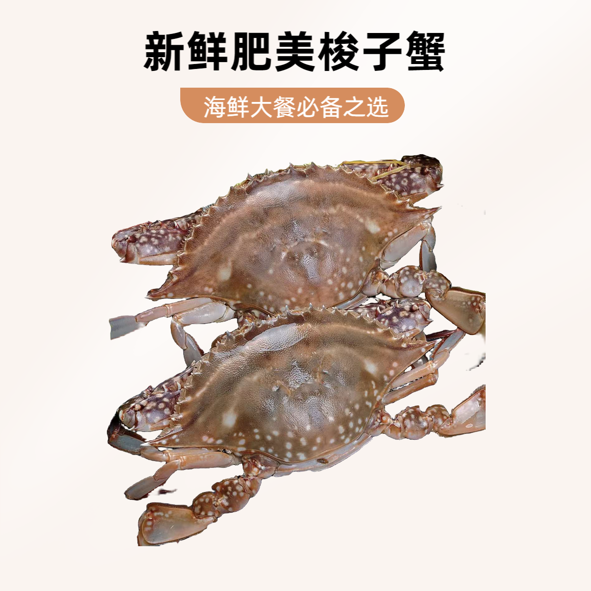 【保鲜不保活】大连小姑娘三角蟹3斤装 15只左右