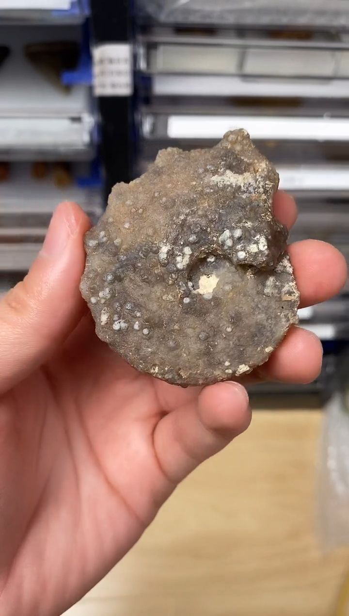 精美摆件创意礼物家居配饰新年礼物个人收藏