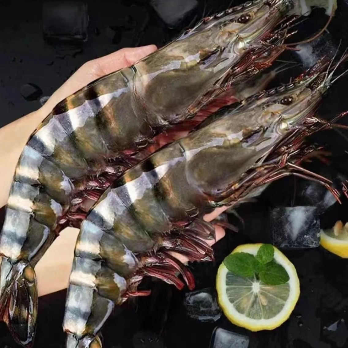 S【20-30】黑虎虾鲜活速冻发货12-15只/斤3斤36-45约只/盒黑虎大虾