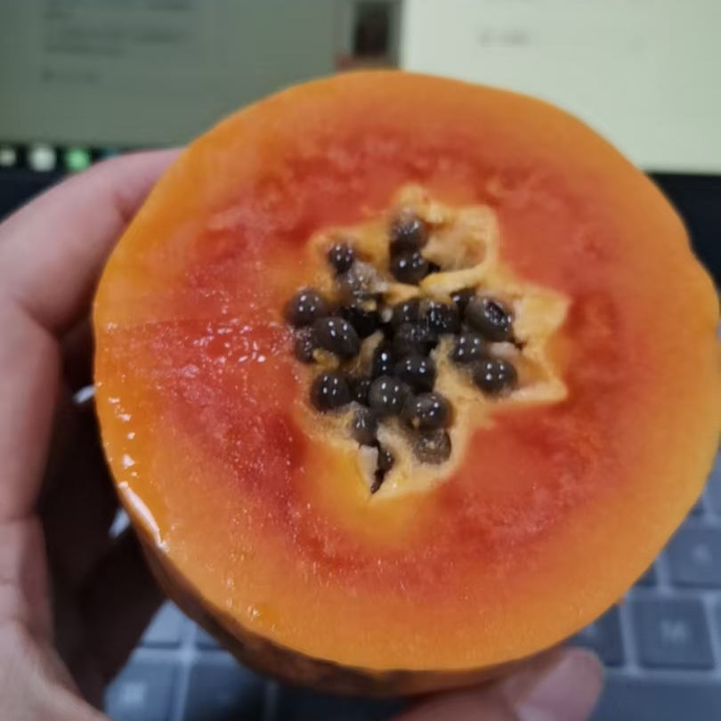 红心木瓜  海南产地直发 树熟果子甜甜的 单个不少于600克海南省