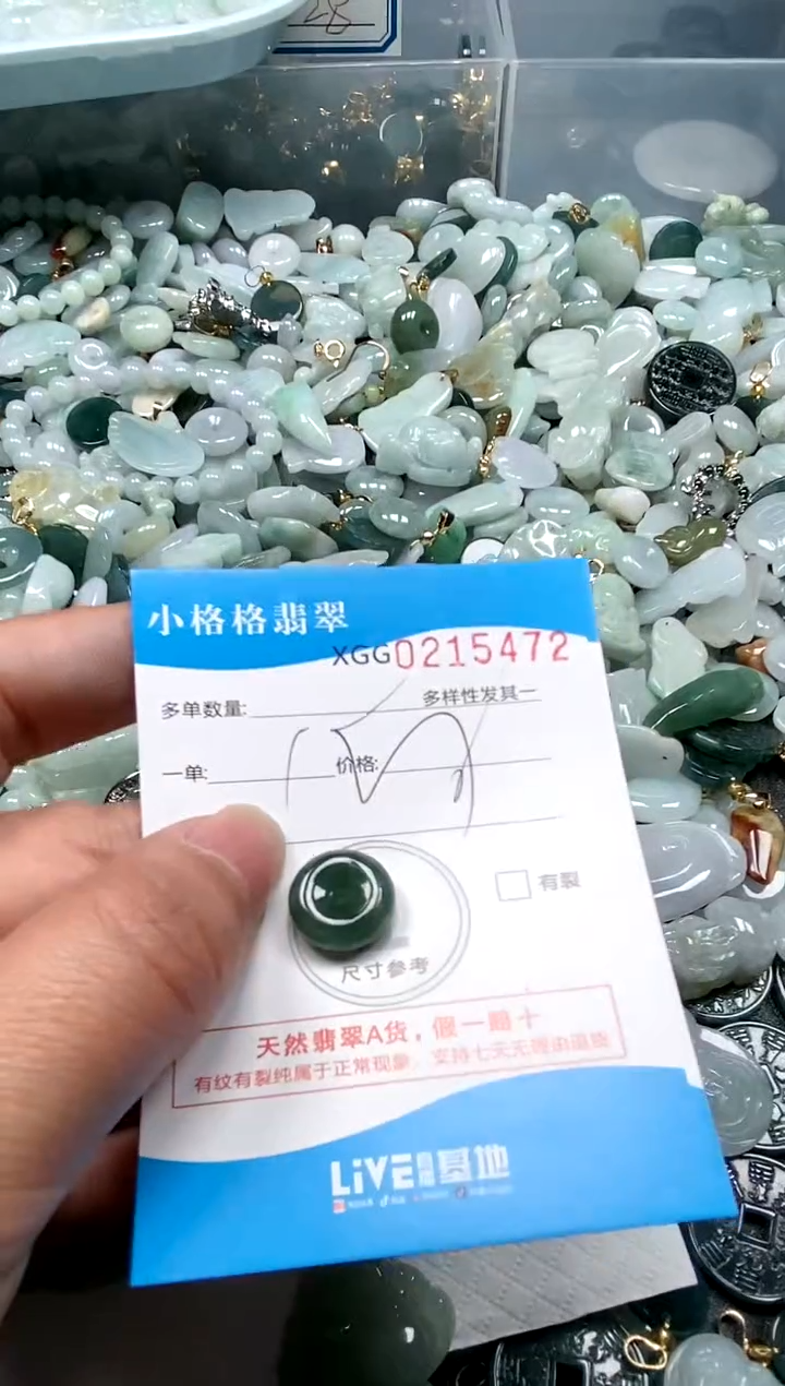 【闪购商品】翡翠颈饰未镶嵌闪购商品0215472