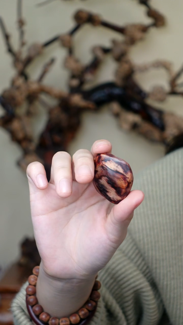 木本降真香红降花梨公原料11克