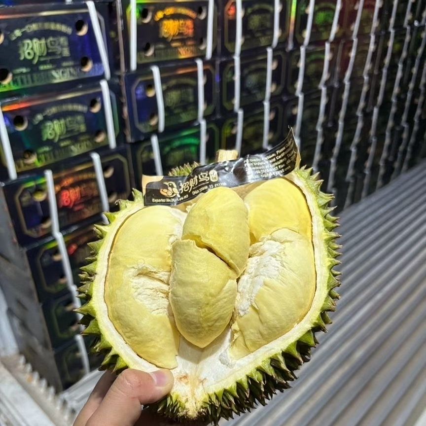 泰国<空运招财鸟>树熟金枕新鲜榴莲核小【一果一重】金枕泰国南部
