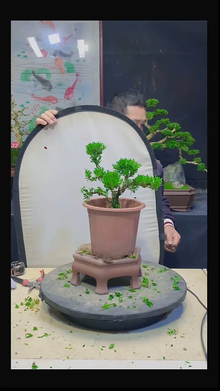 无花朵简*的11111111111