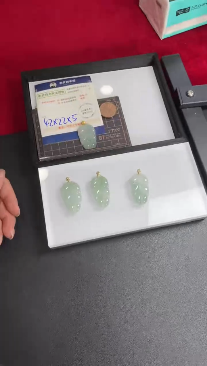 【闪购商品】翡翠挂件18K金镶嵌叶子FL19配绳/多样性发其一CP