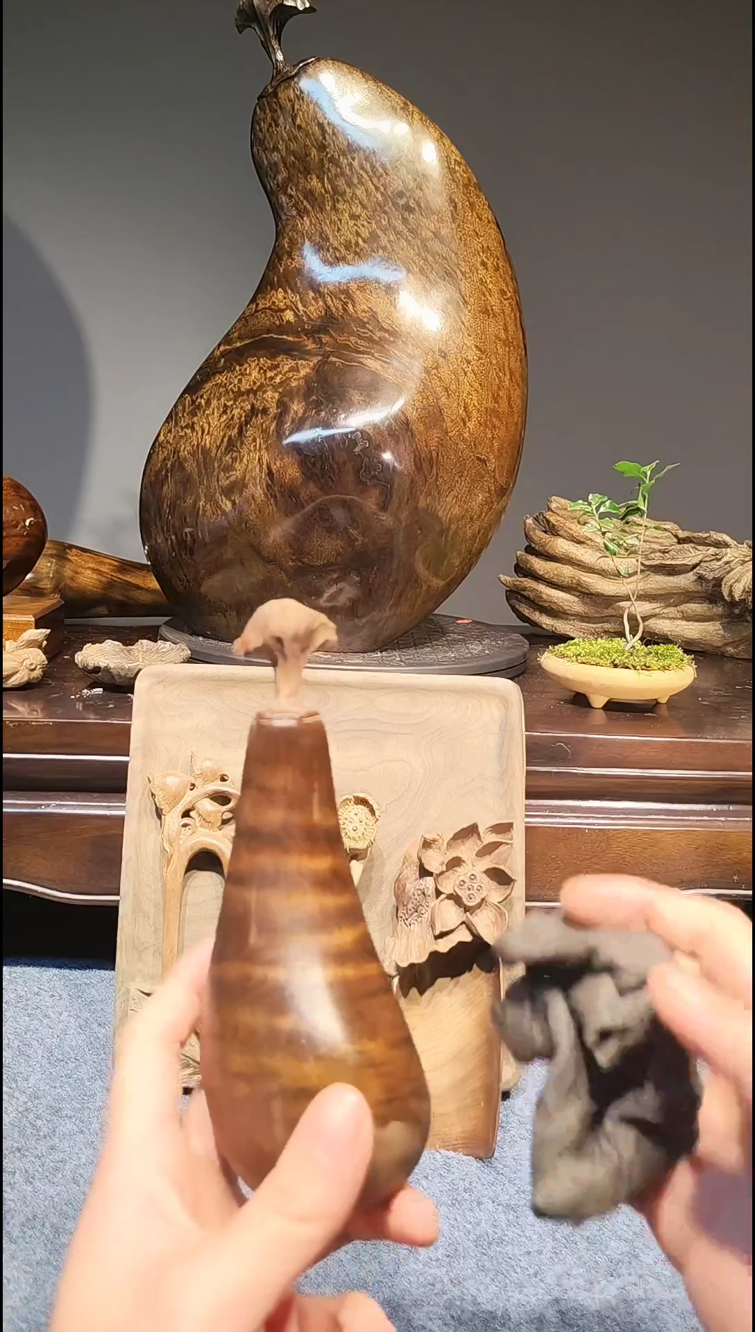 【闪购商品】金丝楠111111111111