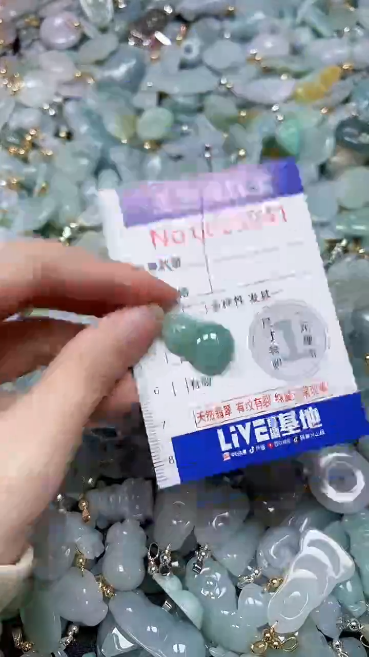 【闪购商品】翡翠颈饰未镶嵌闪购00009941