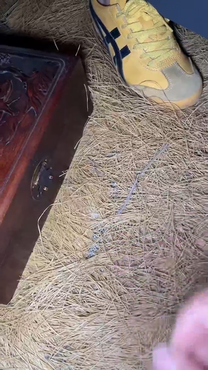 其他摆件---------（墨序甄选）信封竹子