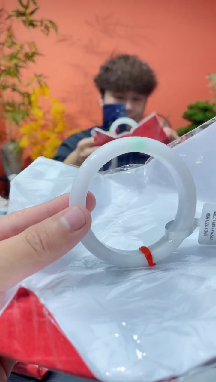 未镶嵌手镯翡翠9