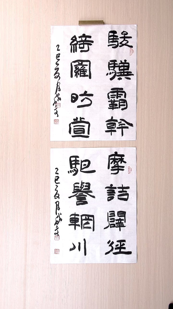 书法苟成文 甘肃定西45*34*2
