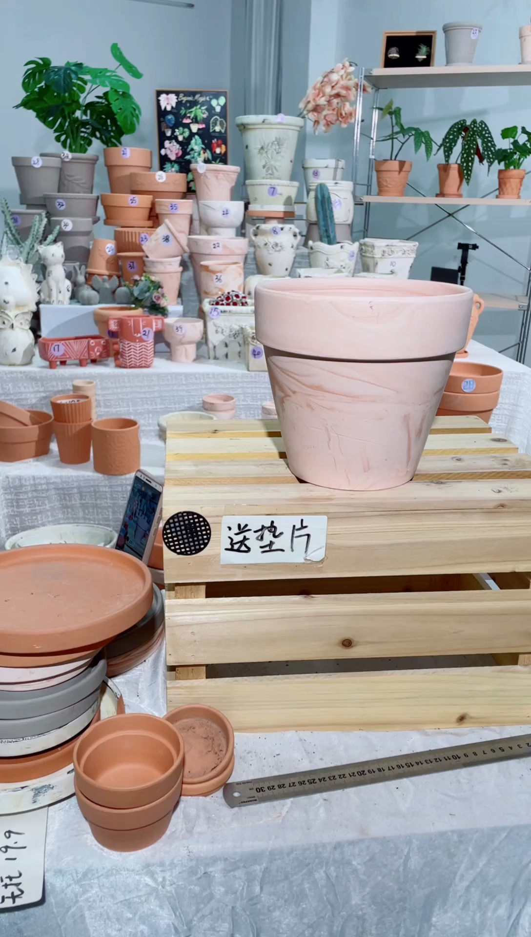 2个无托玛奇朵国际盆口径20*18