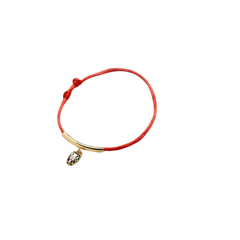 灵蛇红绳SL  围巾 轻奢 时尚 百搭 经典 气质 优雅 精美