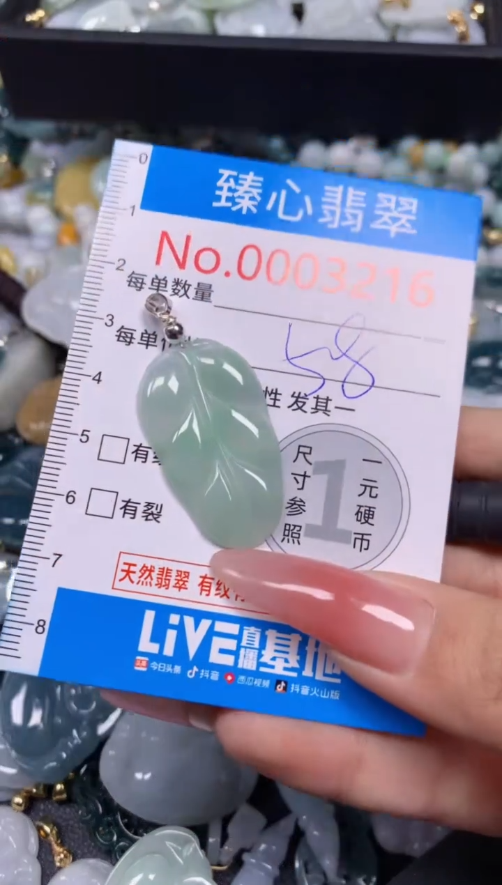 【闪购商品】翡翠颈饰未镶嵌含绳0003216