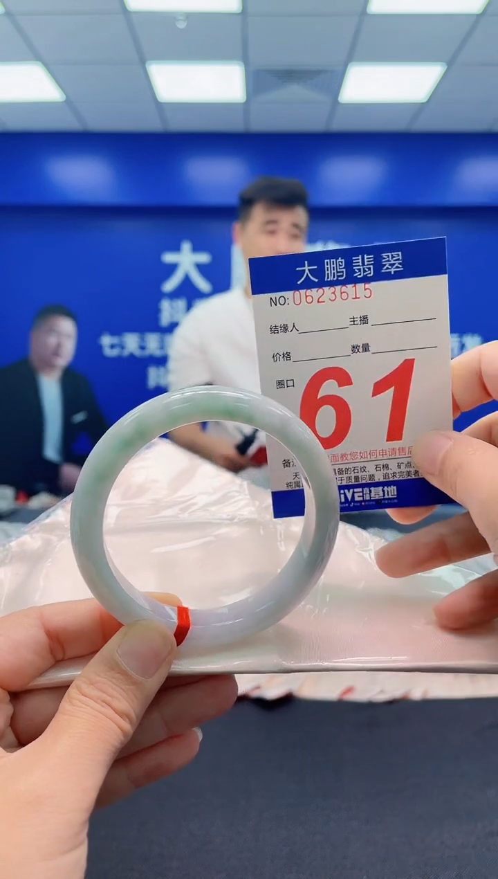 未镶嵌手镯翡翠AAAAAAAAA