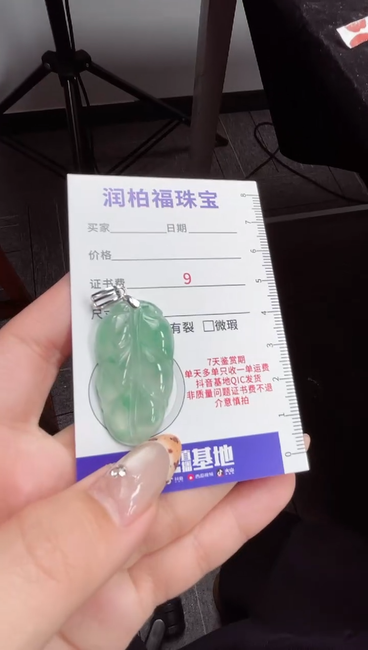 吊坠(不含链)银S925镶嵌石英质玉（非洲翠）叶子8.41