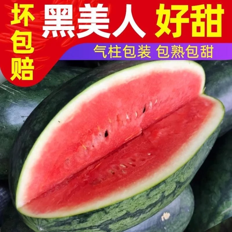 进口黑美人西瓜 4.2-4.7斤 脆甜应季水果 今天拍明天到