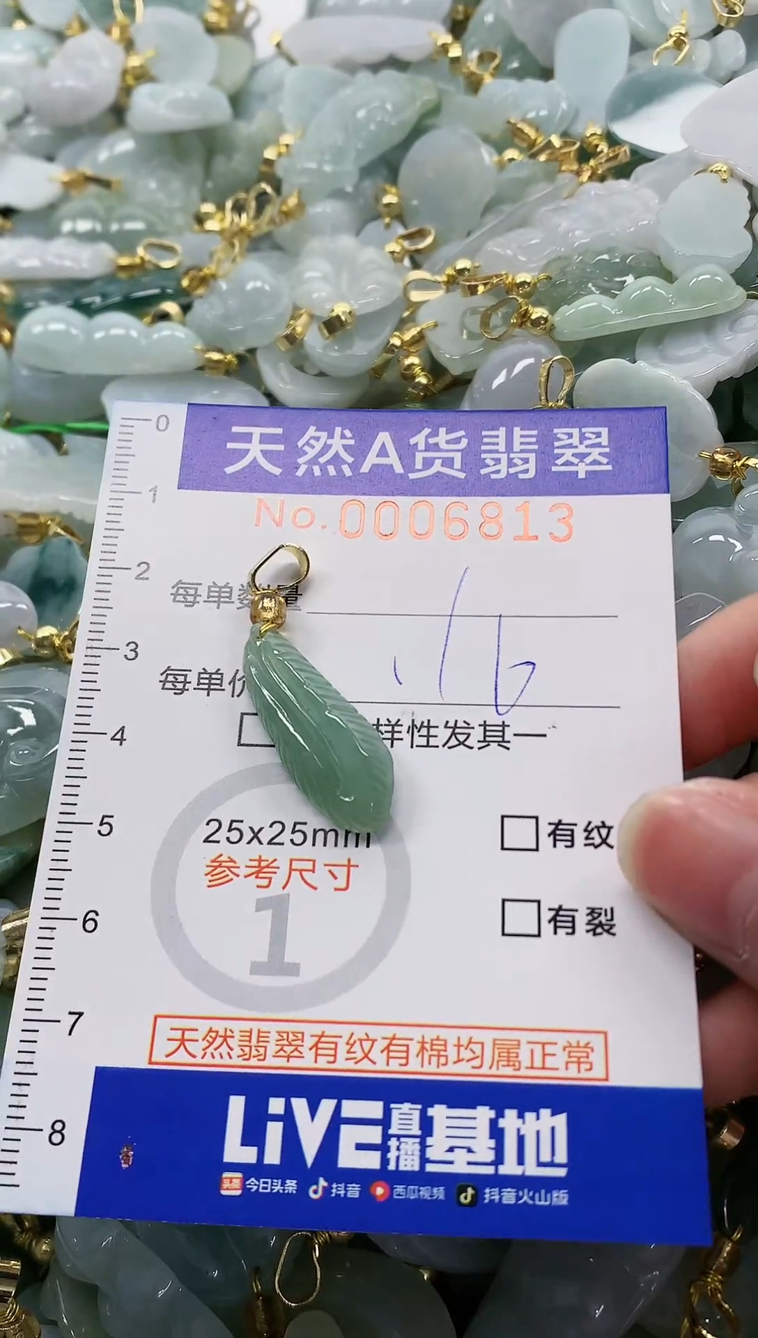 颈饰未镶嵌翡翠纯天然a货翡翠