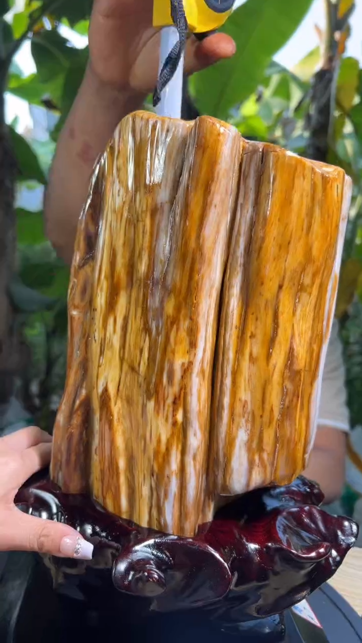 【闪购商品】硅化玉珠宝奇石未镶嵌拍一发一