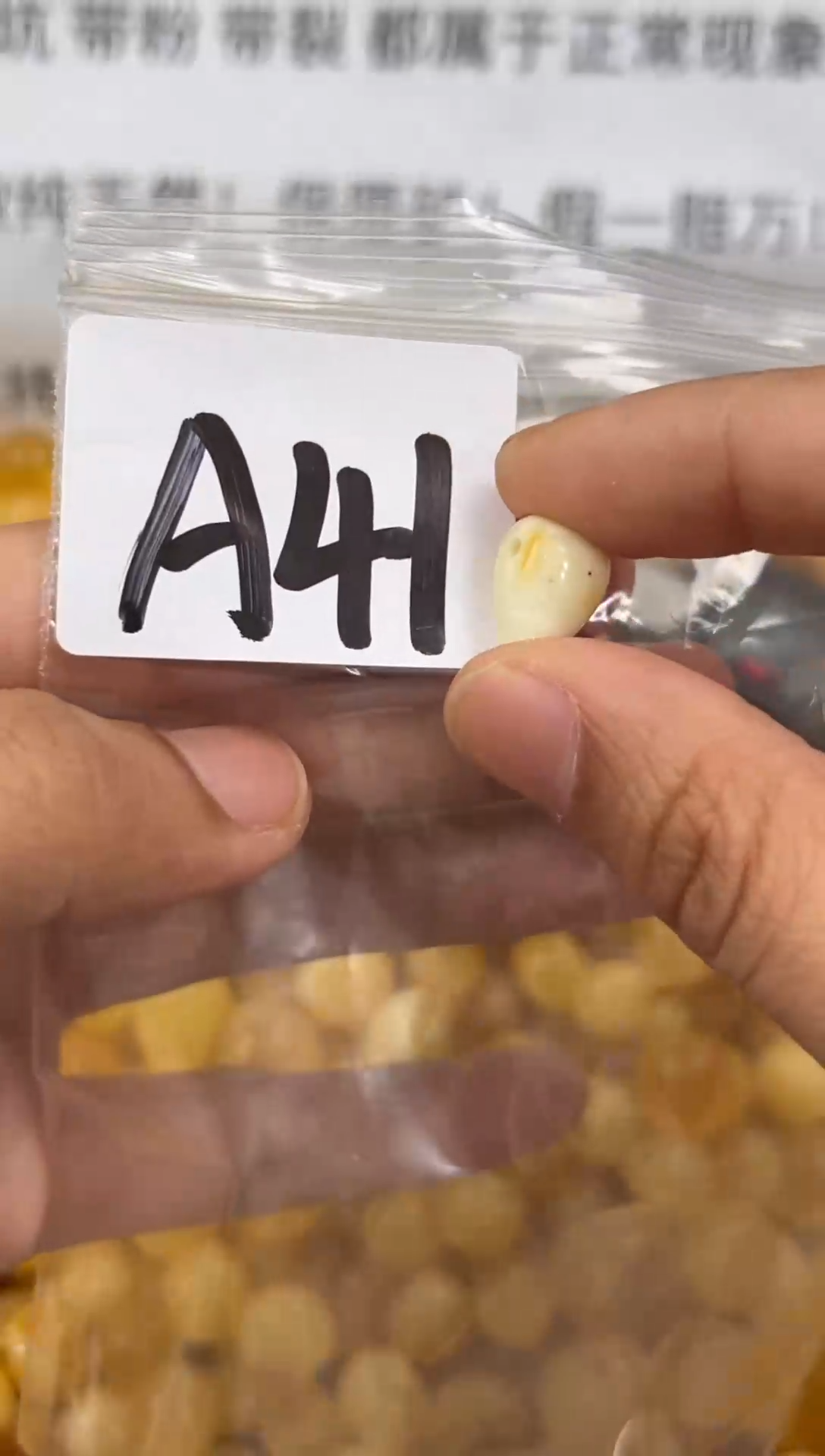 【闪购商品】琥珀裸石未镶嵌蜜蜡珠子带微瑕