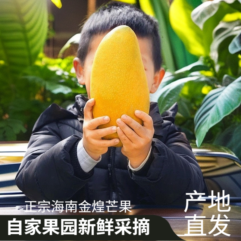 【海南果园直发】礼盒装金煌芒新鲜现摘时令应季爆甜水果金黄水仙芒