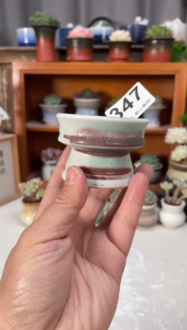 瓷片347小芳直播编号