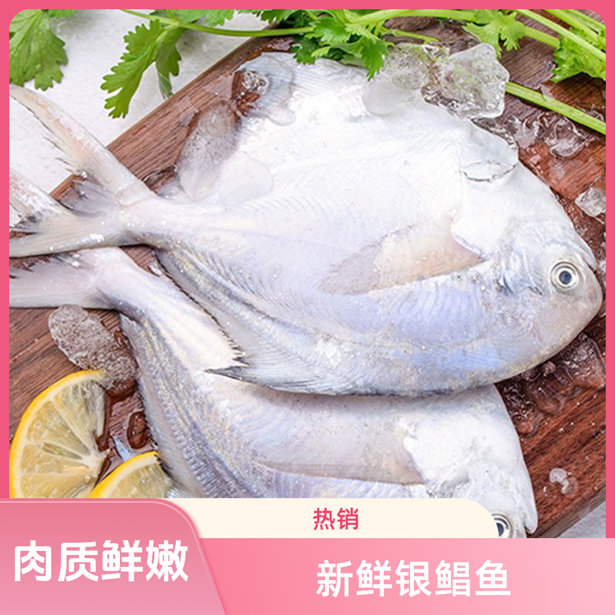 【到手4斤装】新鲜鲳鱼海捕深海银鲳鱼海鲜冷冻肉鲳鱼顺丰京东包邮