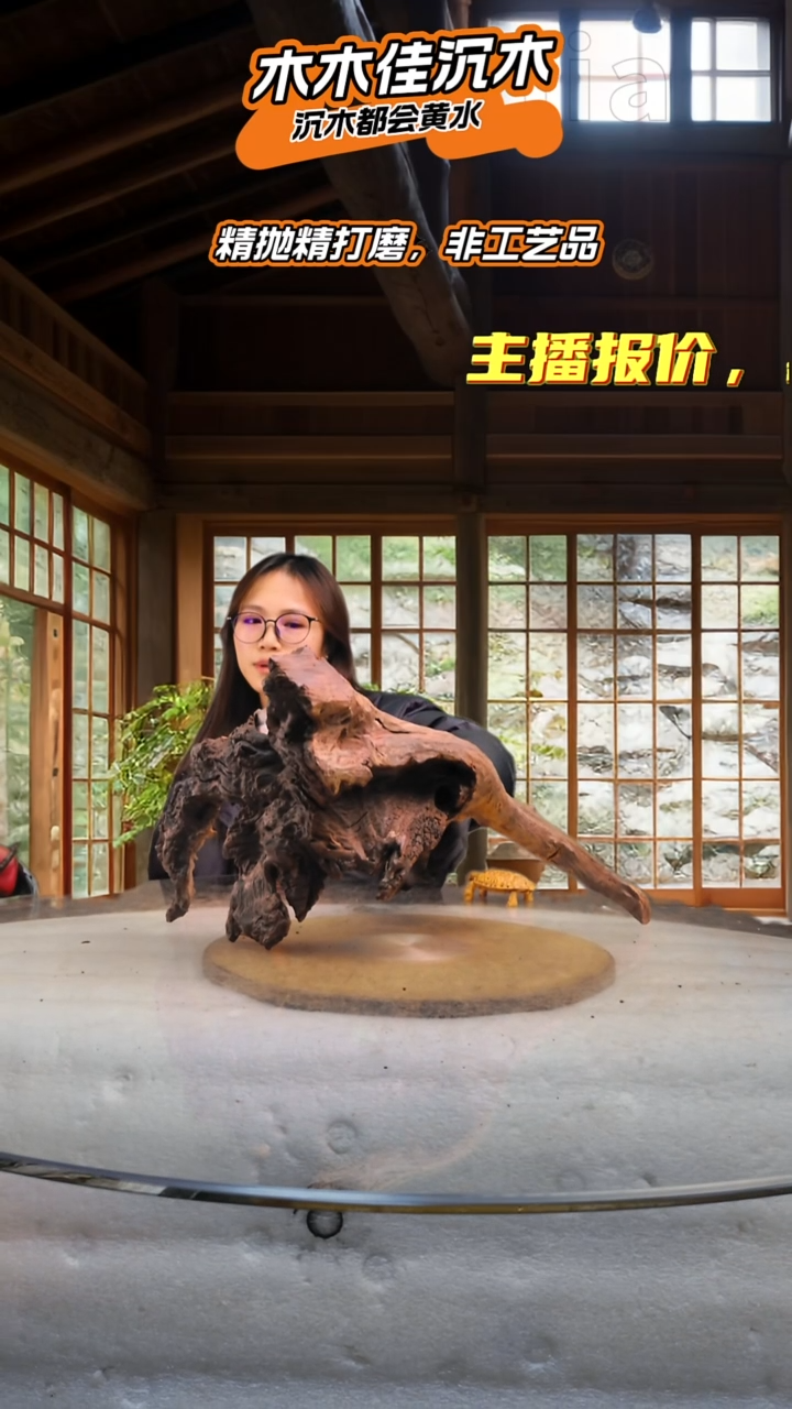 一* 木木佳沉木鱼缸造景-892