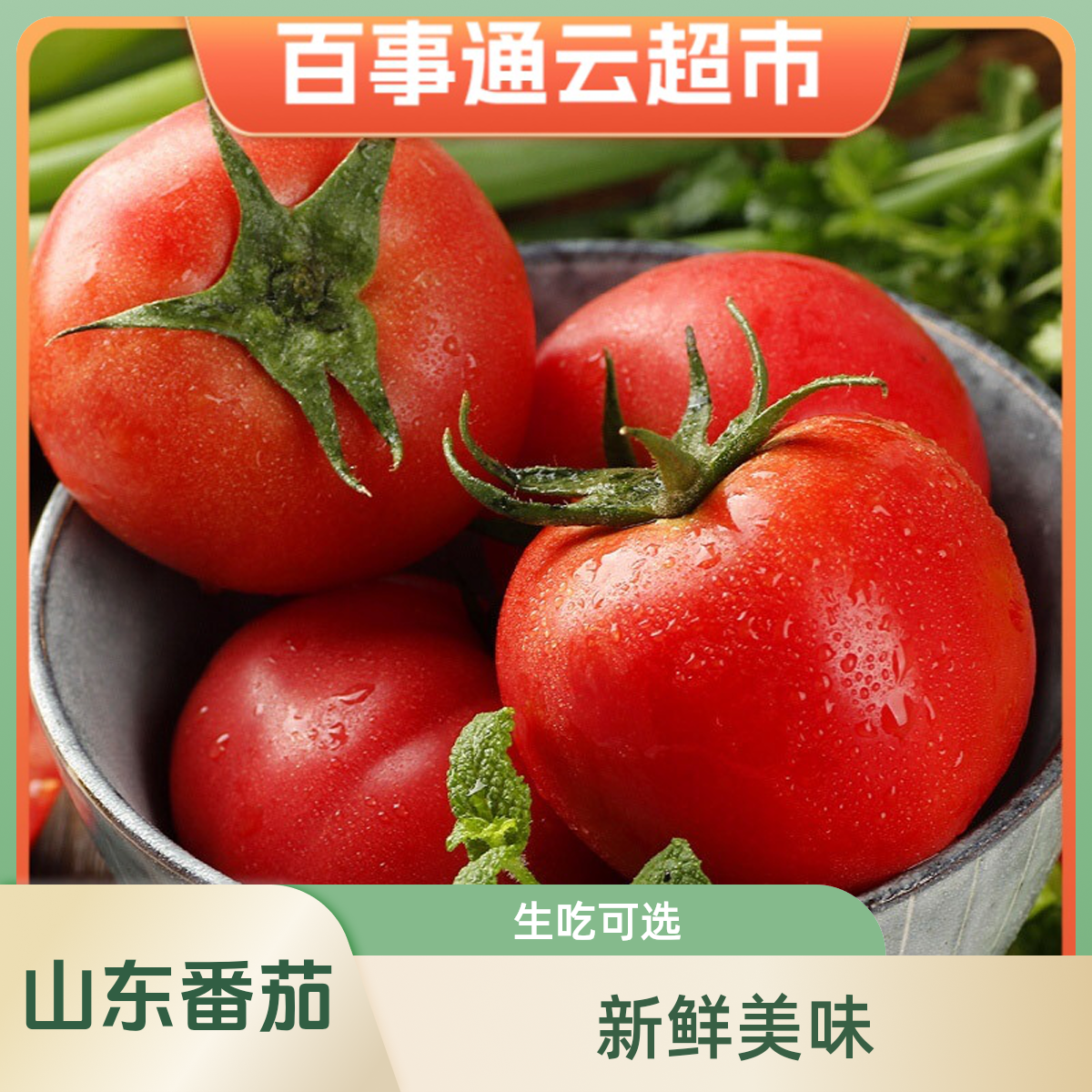 新鲜蔬菜精品西红柿1斤左右西红柿山东省