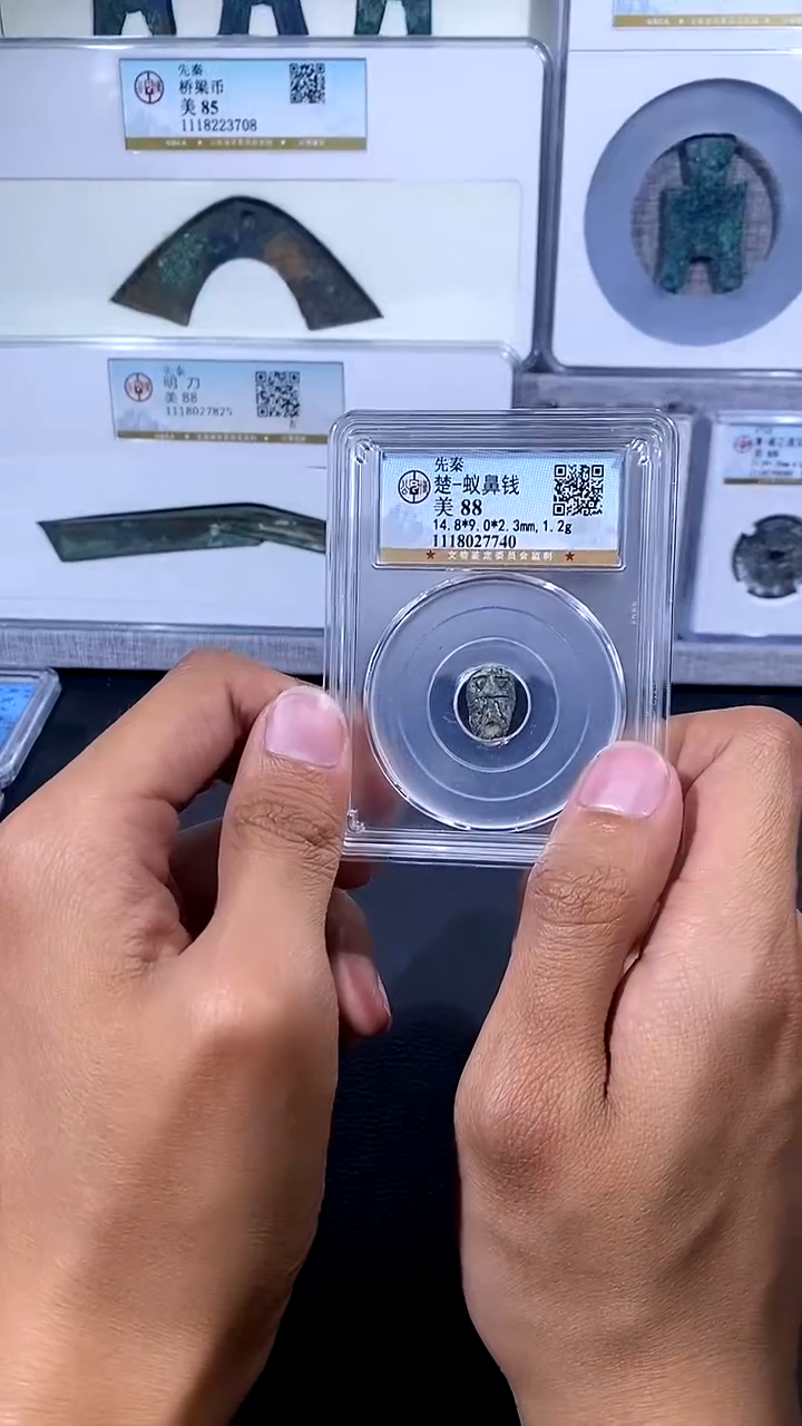 【闪购商品】铜琪珍 蚁鼻蚁鼻一枚