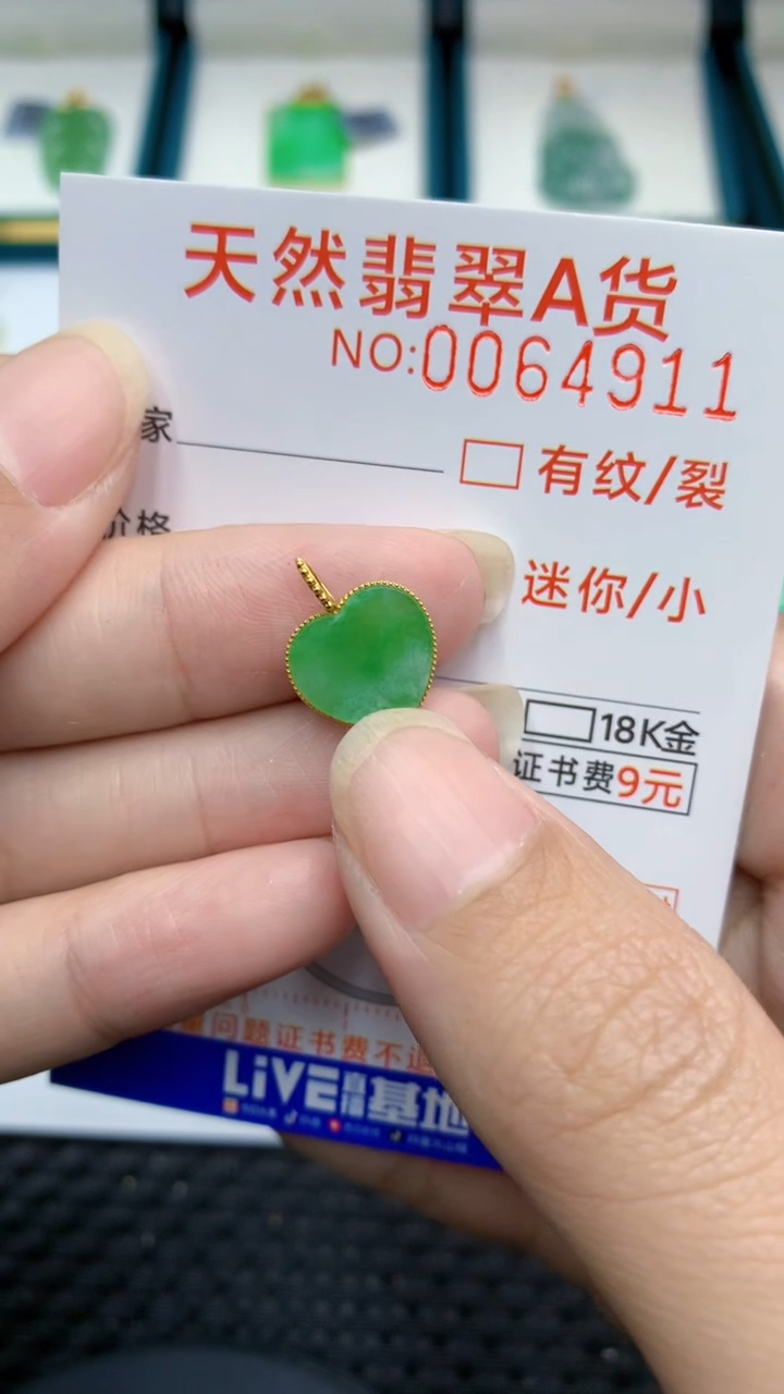 【闪购商品】翡翠颈饰18K金镶嵌            8