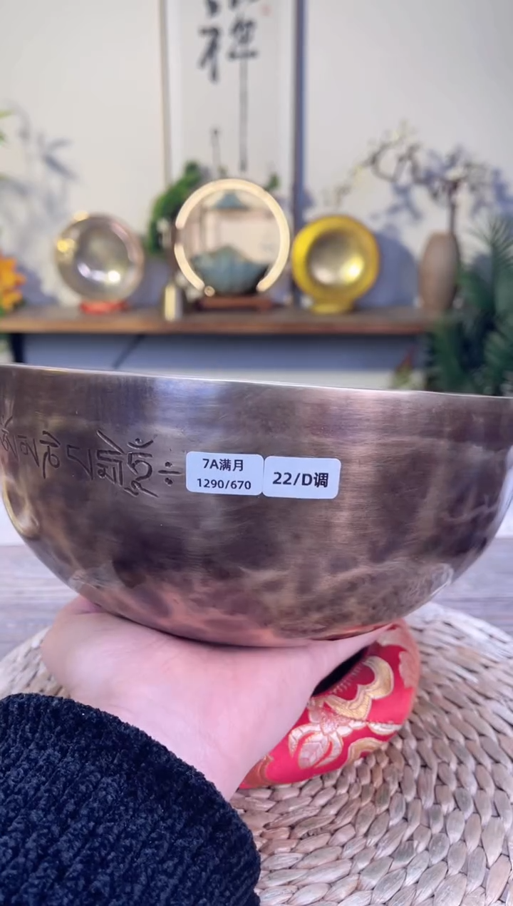 【闪购商品】满月 口径22 CM-D调（无配件）