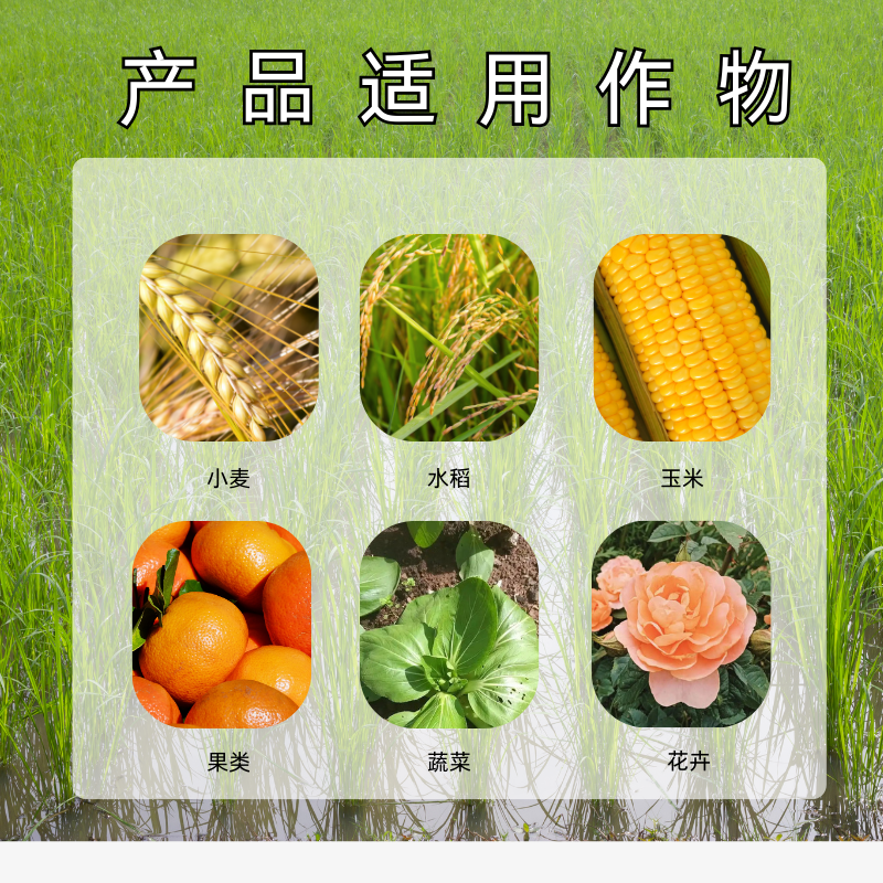 【福利】班姆士磷酸二氢钾促花壮苗小包装50g工厂直销
