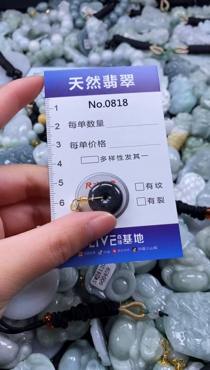 【闪购商品】翡翠颈饰未镶嵌缅甸A货翡翠0818