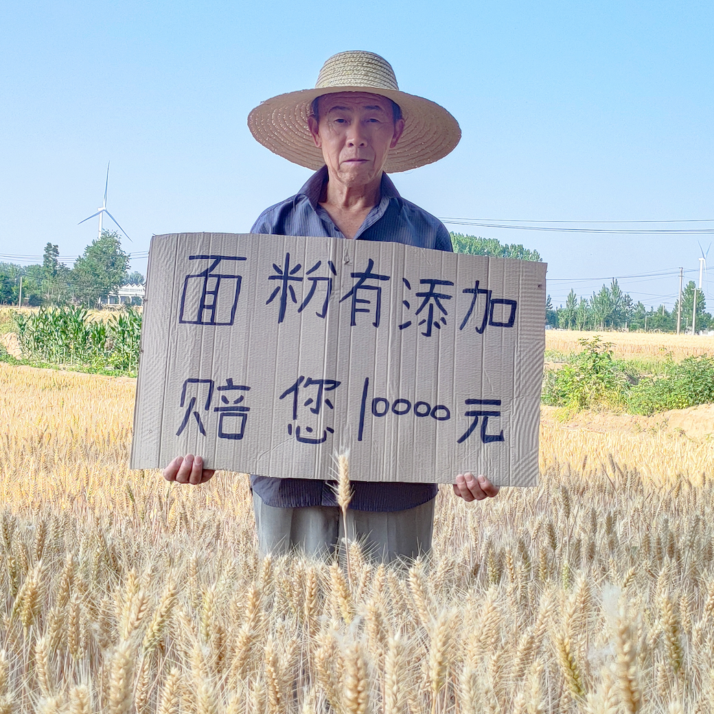 2025山东无添加纯面农家自磨麦芽面粉包子饺子馒头老品种土小麦粉