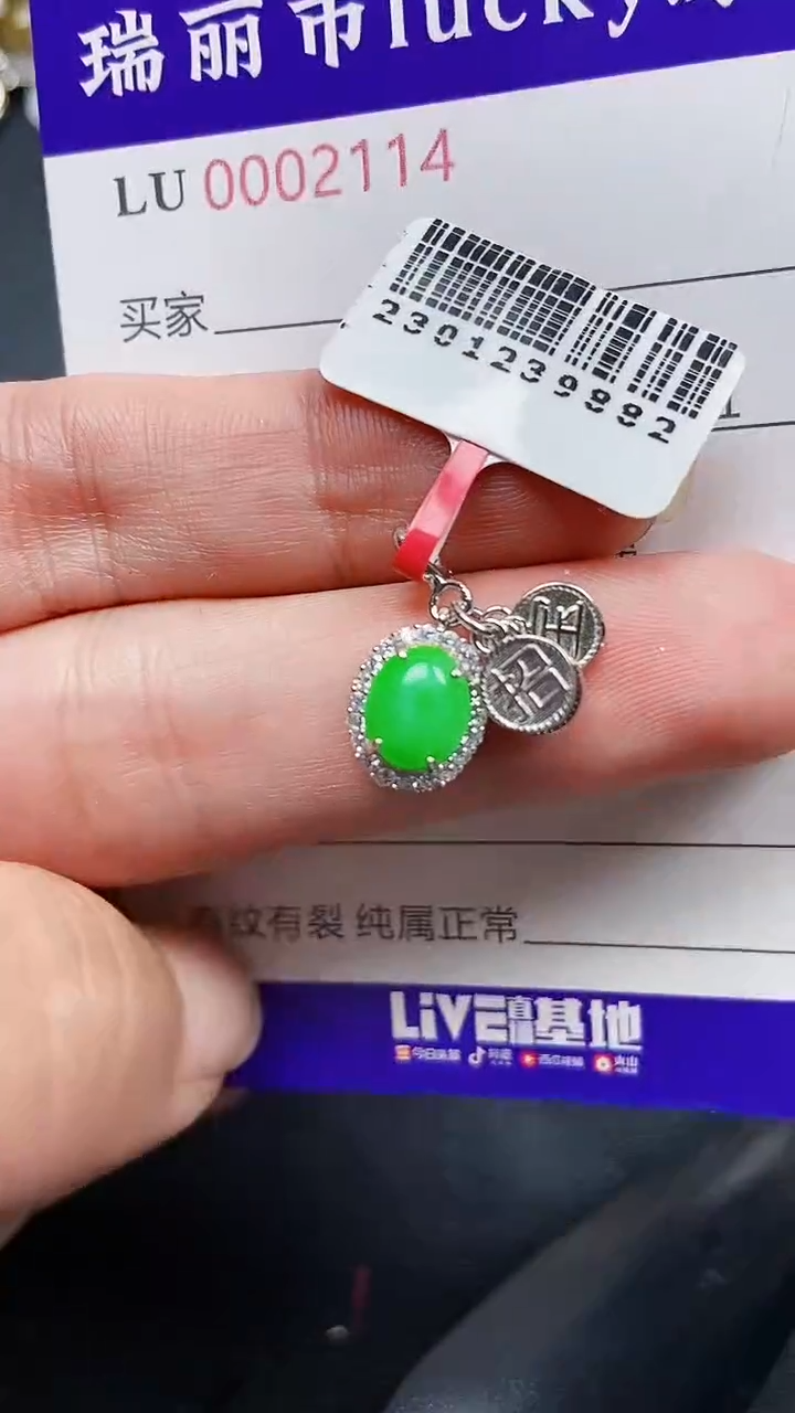 颈饰银S925镶嵌翡翠2114