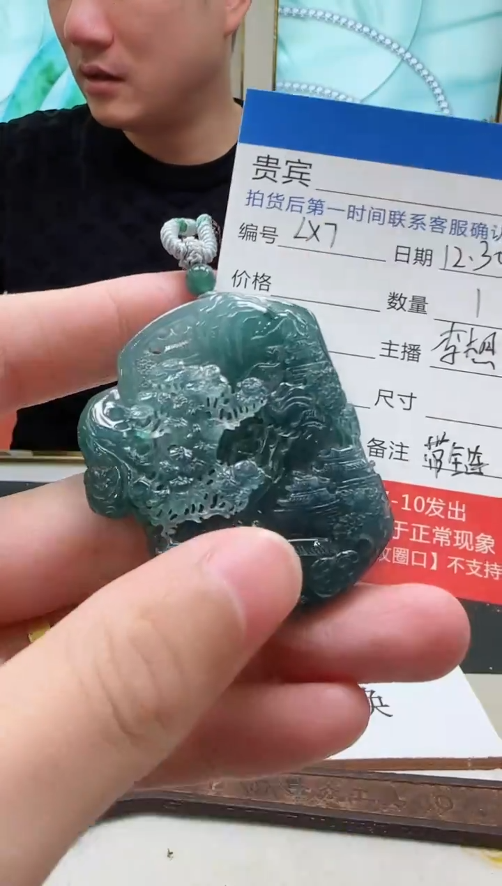 未镶嵌定制翡翠LX7翡翠吊坠赠珠链-多样性发其一