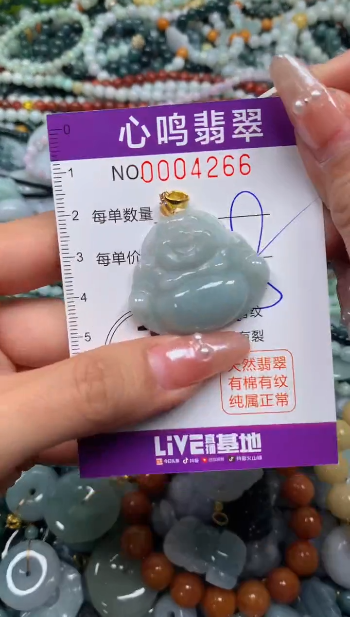 颈饰未镶嵌翡翠闪购004266