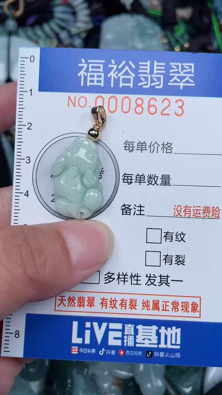 颈饰未镶嵌翡翠...0008623