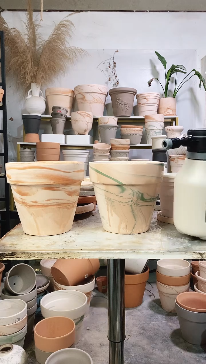 20*18玛奇朵+绿白组合 2盆无托