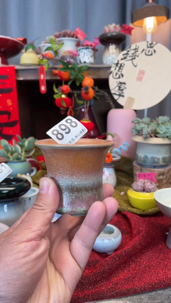 【闪购商品】摆件898知木小芳花盆