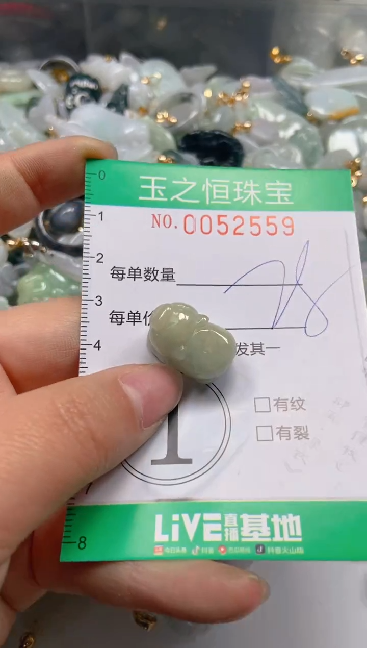 【闪购商品】翡翠颈饰未镶嵌闪购0052559